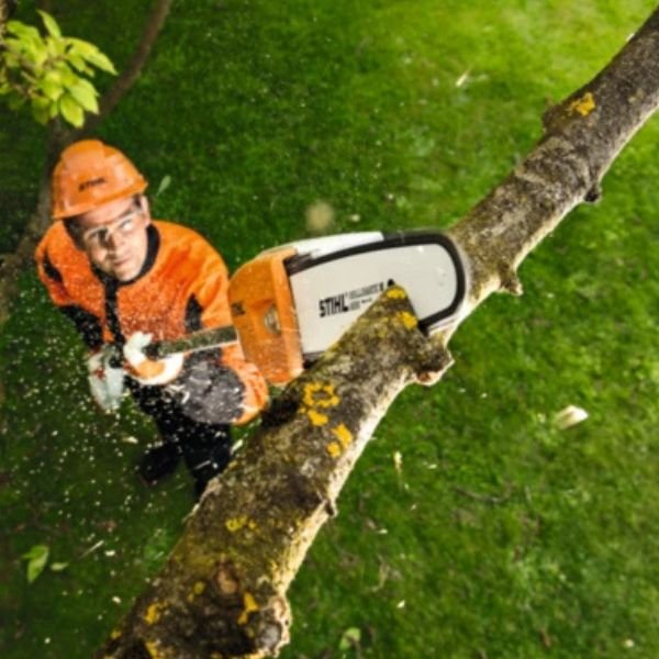 motopoda-combustão-75-stihl-solutio-locacao-cortando-galho